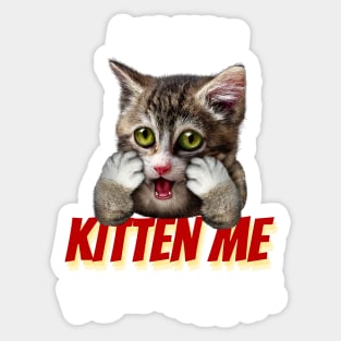 Are You Kitten Me Right Meow Sticker